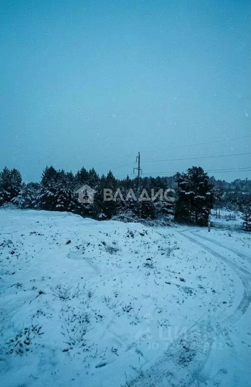 Участок в Бурятия, Тарбагатайский район, Саянтуйское с/пос, с. Нижний ... - Фото 2