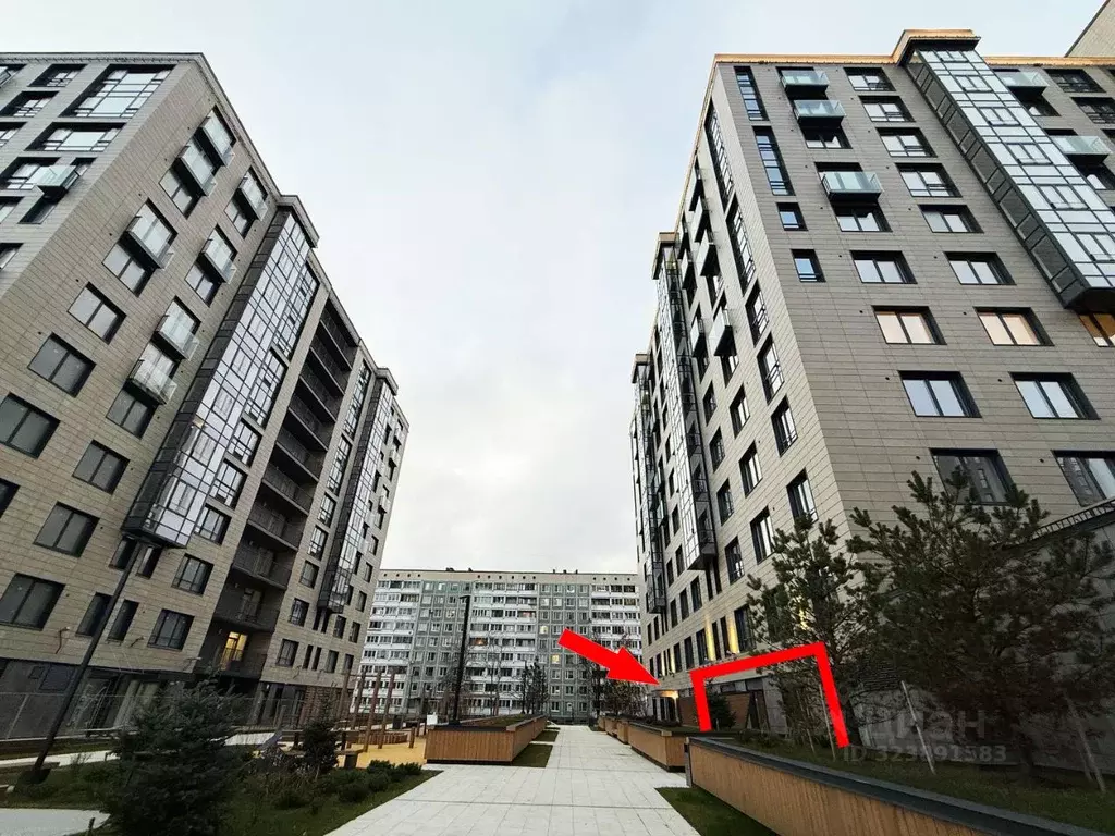 Помещение свободного назначения в Санкт-Петербург ул. Академика ... - Фото 2