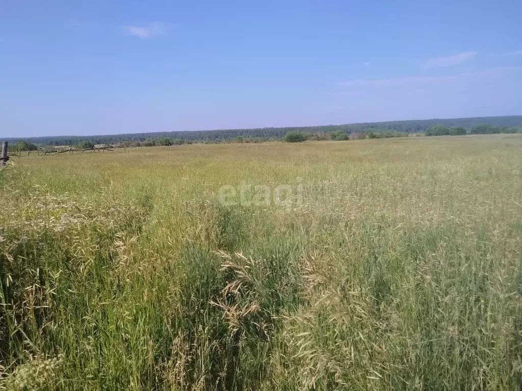 Участок в Иркутская область, Иркутский район, Оекское муниципальное ... - Фото 0