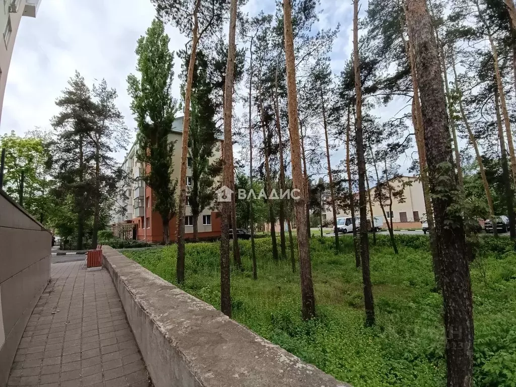 1-к кв. Белгородская область, Шебекино Парковая ул., 1 (30.7 м) - Фото 1