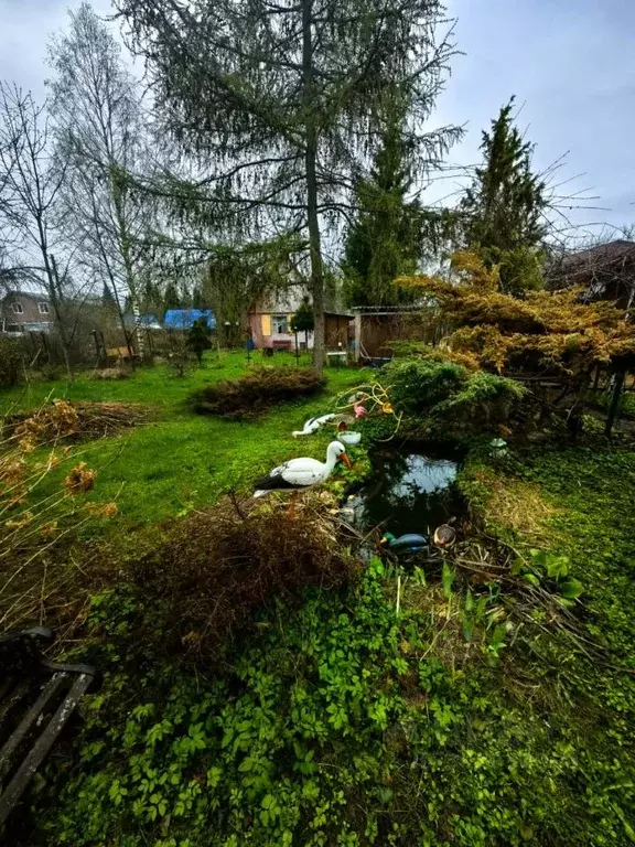 Дом в Калужская область, Боровский муниципальный округ, Кривское ... - Фото 2