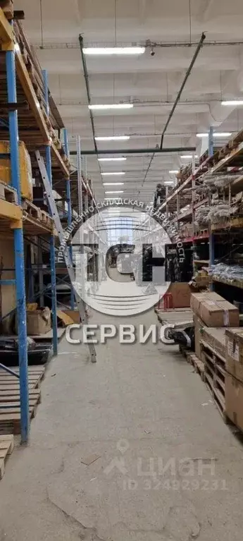 Производственное помещение в Московская область, Щелково Фабричная ... - Фото 1