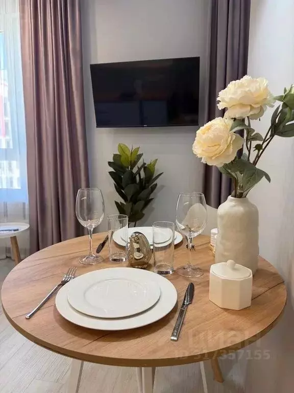 2-к кв. Краснодарский край, Сочи ул. Искры, 88к2 (28.0 м) - Фото 1