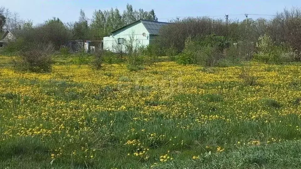 Участок в Пензенская область, Мокшанский район, Рамзайский сельсовет, ... - Фото 2