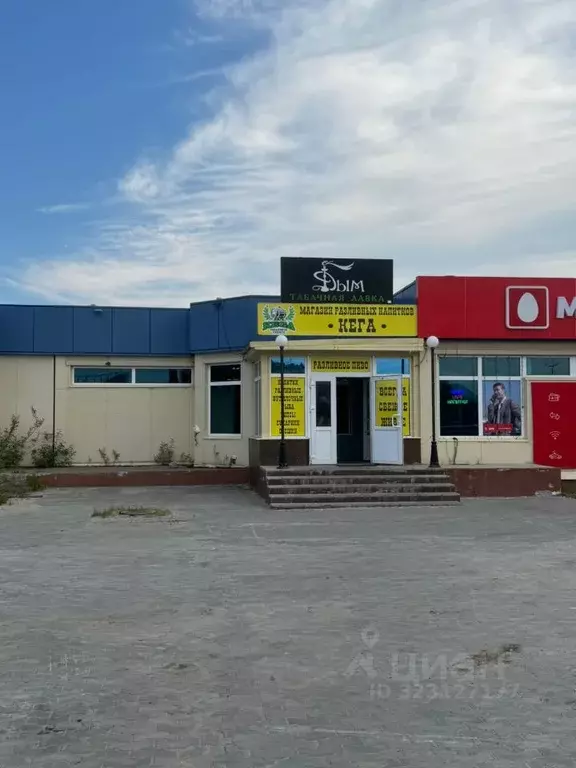 Торговая площадь в Ямало-Ненецкий АО, Новый Уренгой Сибирская ул., 31А ... - Фото 1