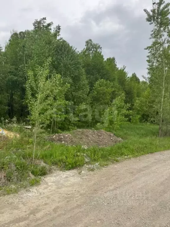 Участок в Алтай, Майминский район, с. Майма ул. Кленовая (12.0 сот.) - Фото 1