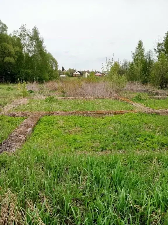 Участок в Московская область, Воскресенск городской округ, Имени ... - Фото 2