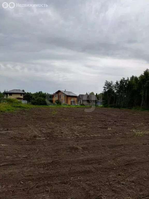 Участок в Вологодская область, Череповецкий муниципальный округ, ... - Фото 1