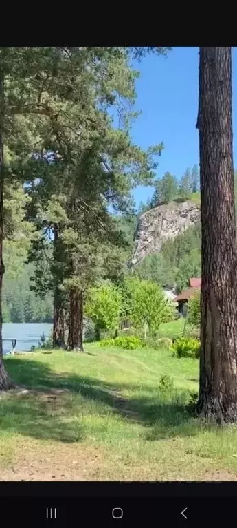 Участок в Алтай, Турочакский район, с. Турочак Набережная ул. (12.0 ... - Фото 1