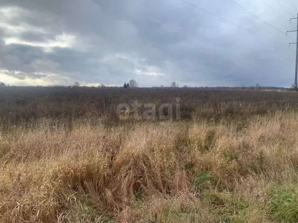 Участок в Костромская область, Костромской район, Шунгенское с/пос, д. ... - Фото 2
