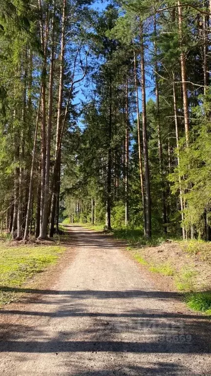 Участок в Московская область, Одинцовский городской округ, д. ... - Фото 1