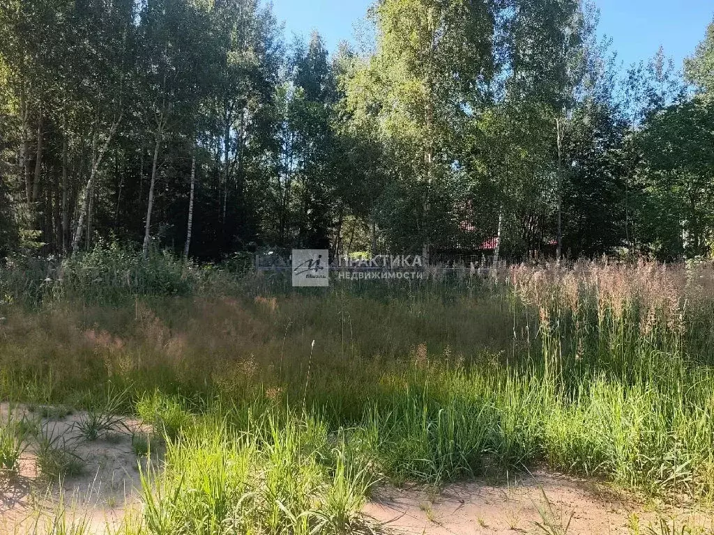 Продается участок в д. Молзино - Фото 1