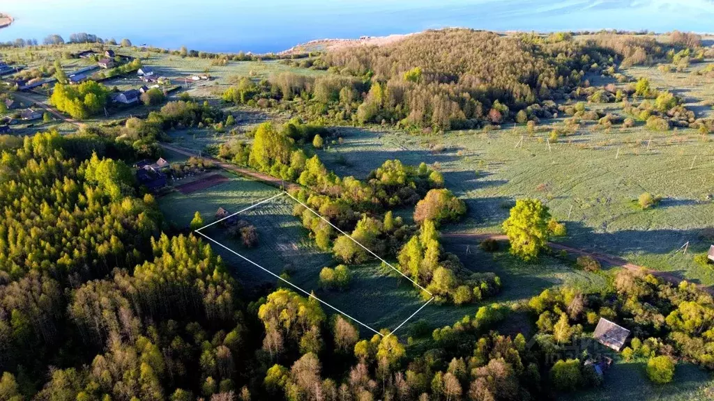 Участок в Псковская область, Куньинский район, Жижицкая волость, д. ... - Фото 0