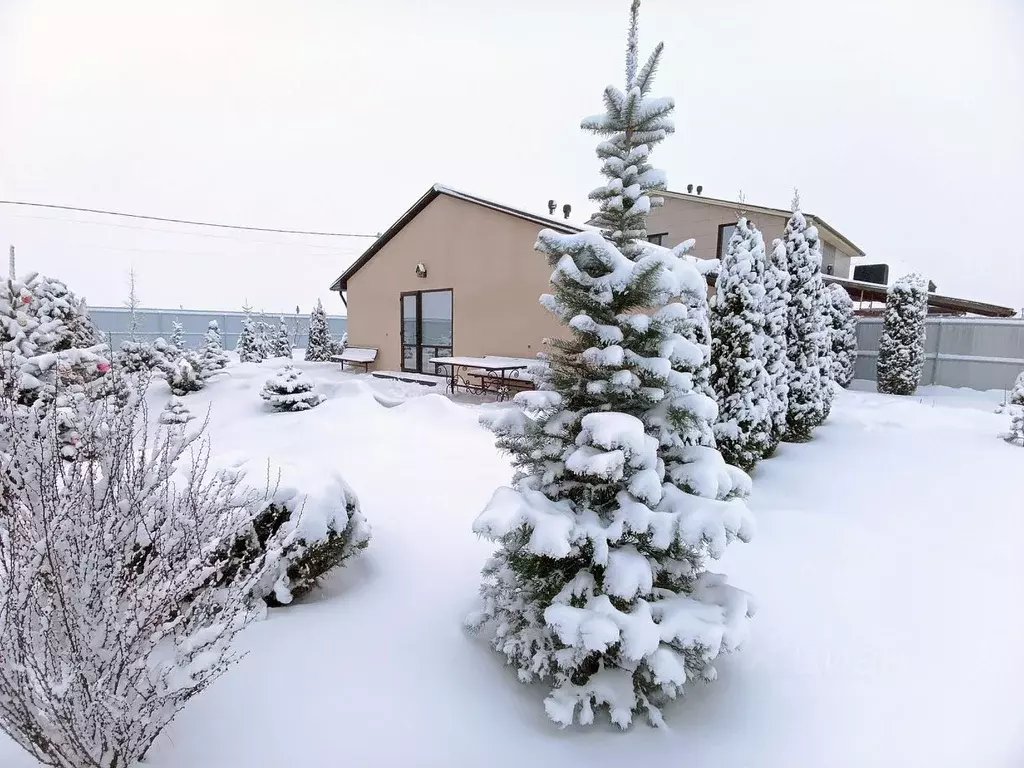 Дом в Белгородская область, Белгородский район, Новосадовское с/пос, ... - Фото 2