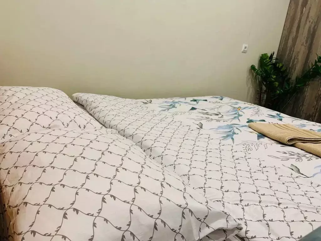 Студия Коми, Сыктывкар Октябрьский просп., 222 (25.0 м) - Фото 2