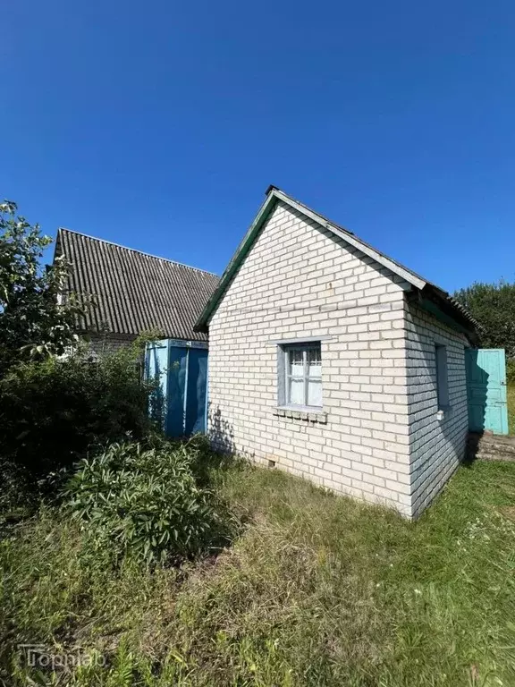 Дом в Брянская область, Брянский район, Добрунское с/пос, д. Добрунь, ... - Фото 1