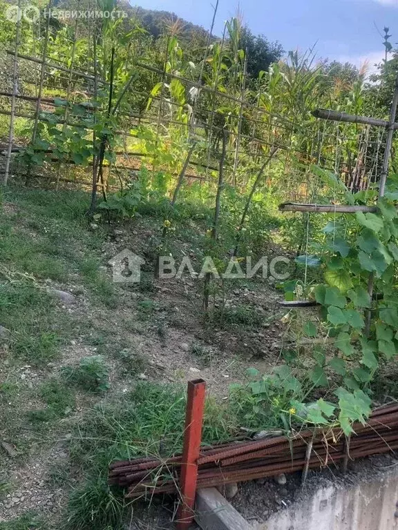 Участок в Краснодарский край, городской округ Сочи, село Весёлое (5.5 ... - Фото 0