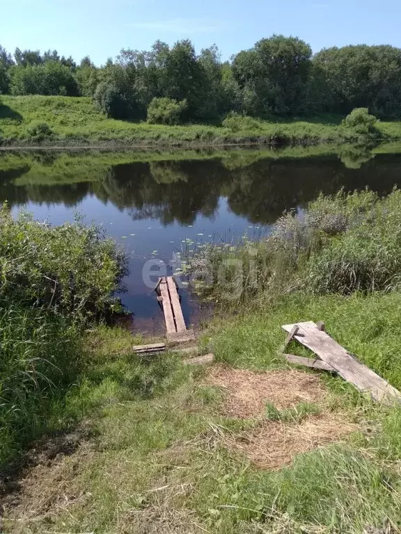 Участок в Псковская область, Островский район, Бережанская волость, д. ... - Фото 0