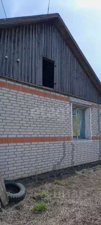 Дом в Курганская область, Макушинский муниципальный округ, с. Большое ... - Фото 2