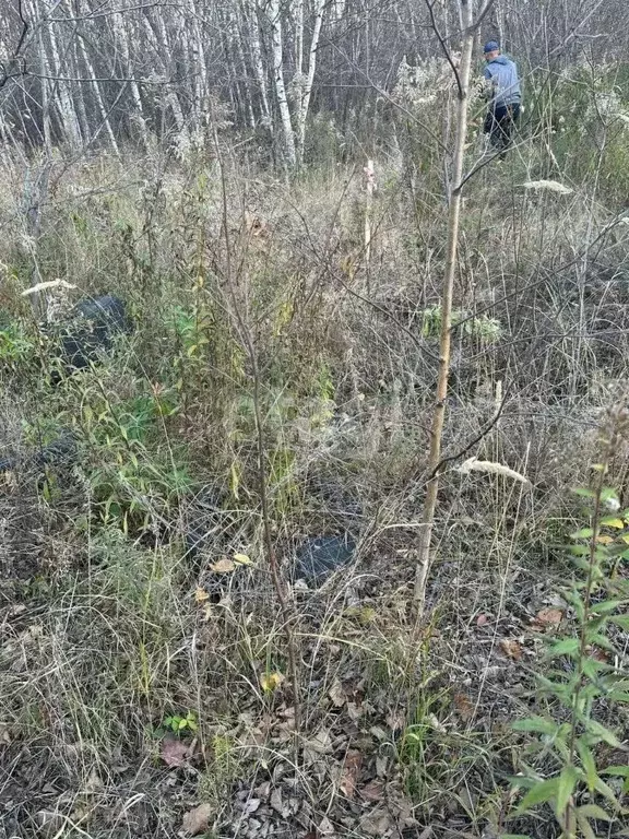 Участок в Хабаровский край, Хабаровский район, Мичуринское с/пос, с. ... - Фото 2