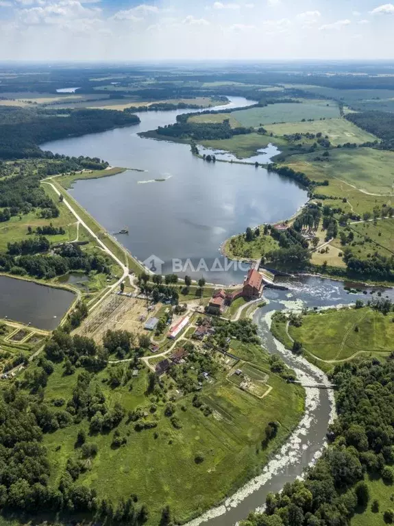 Участок в Калининградская область, Правдинск пл. 50 лет Победы (8.0 ... - Фото 1