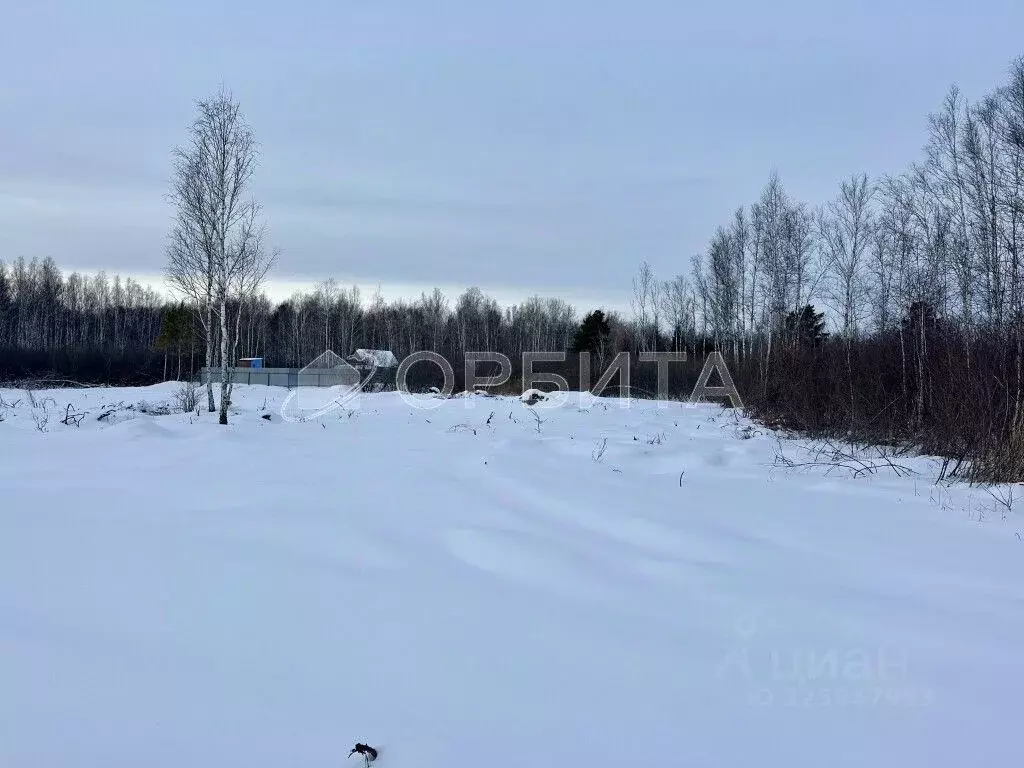 Участок в Тюменская область, Тюменский муниципальный округ, Маяк СНТ ... - Фото 1