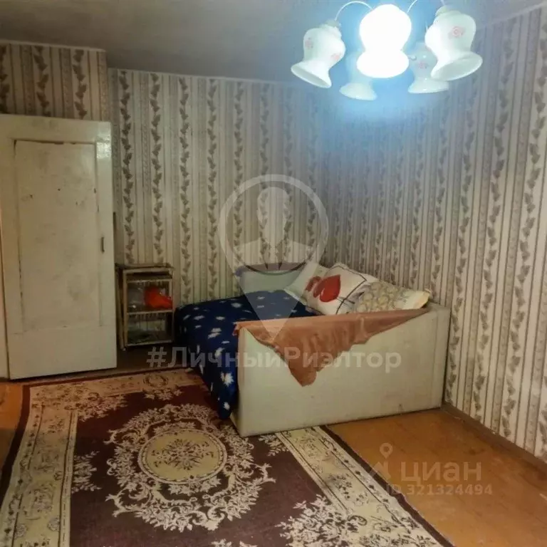 1-к кв. Рязанская область, Скопин Фабричная ул., 2 (30.0 м) - Фото 0