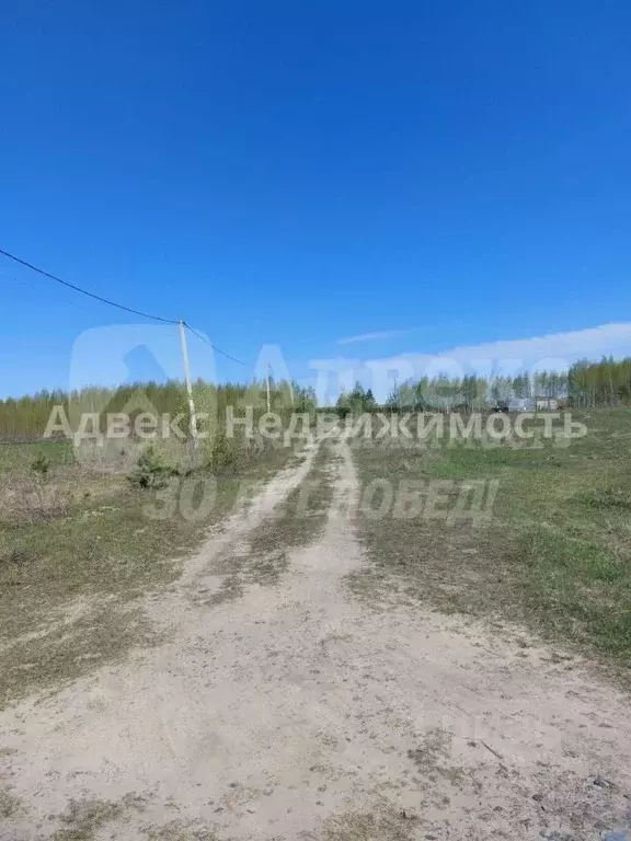 Участок в Тюменская область, Нижнетавдинский район, с. Иска ул. ... - Фото 2