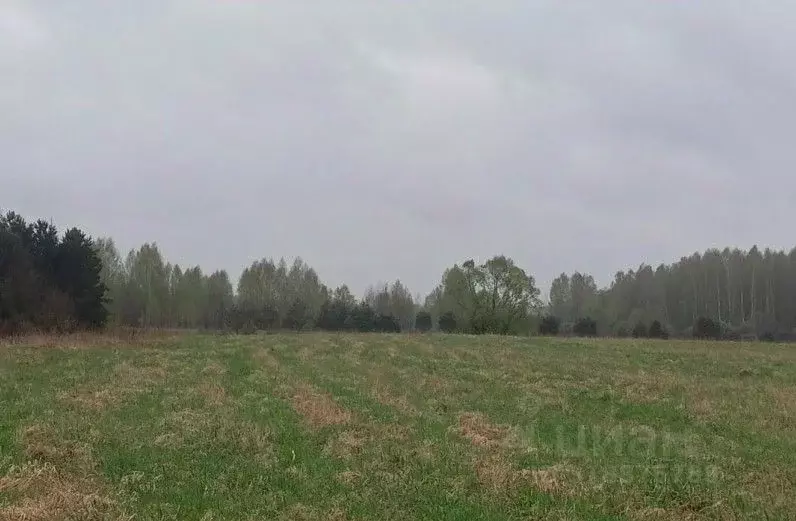 Участок в Московская область, Дмитровский муниципальный округ, д. ... - Фото 0