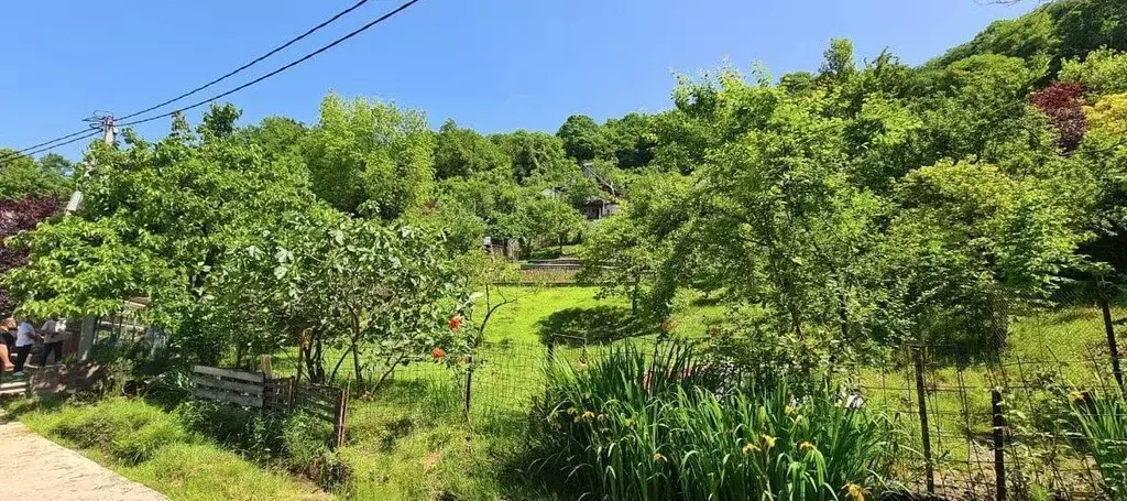 Участок в Краснодарский край, Сочи городской округ, с. Верхний Юрт, ... - Фото 2
