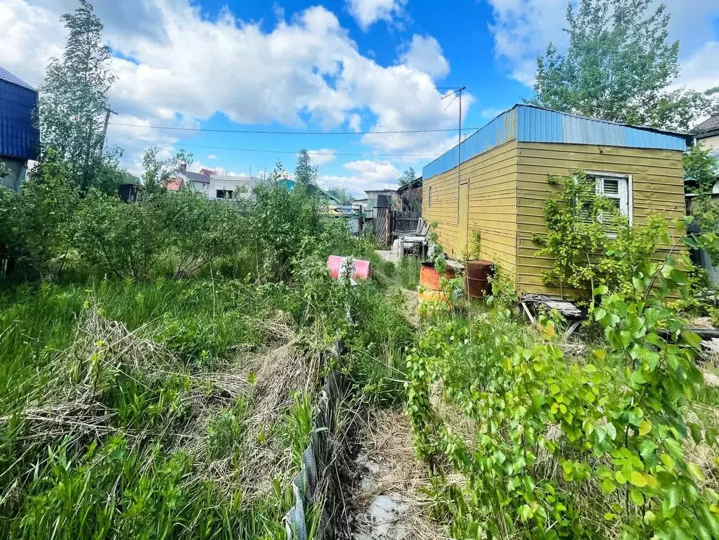 Участок в Ханты-Мансийский АО, Сургут Дорожник садовое общество, ул. ... - Фото 0