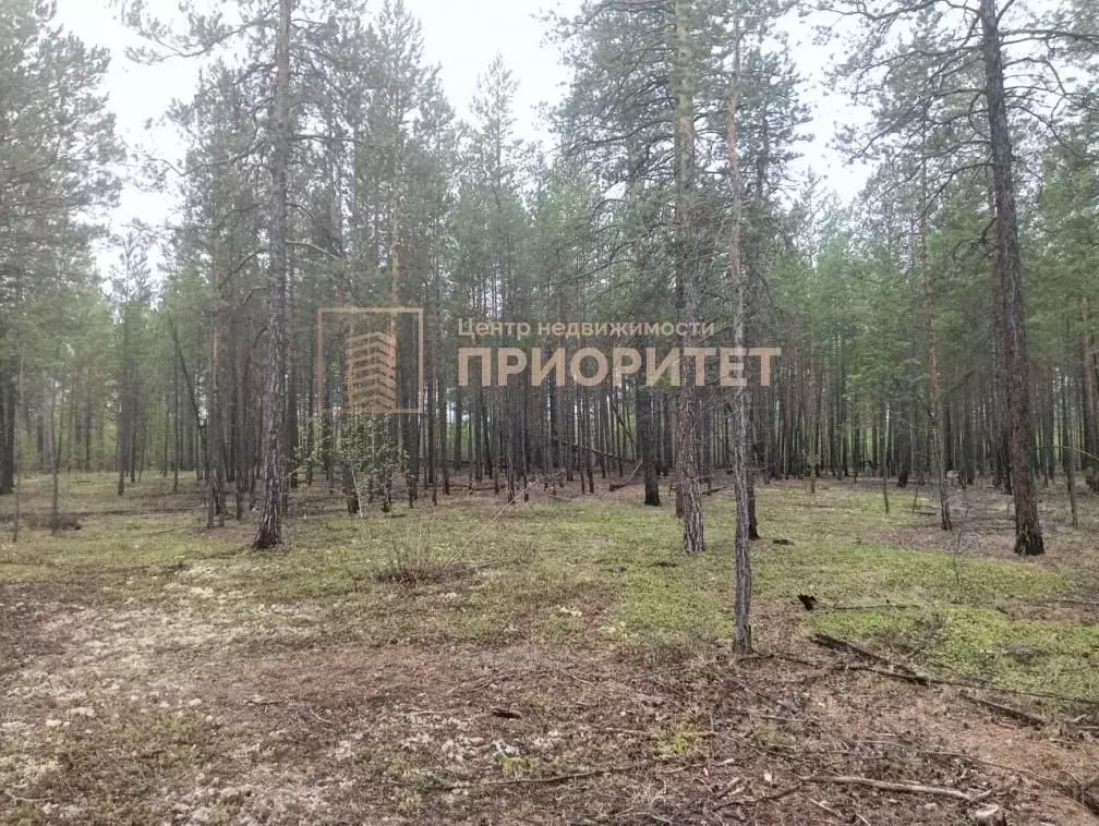 Участок в Саха (Якутия), Мегино-Кангаласский улус, Нижний Бестях пгт  ... - Фото 1