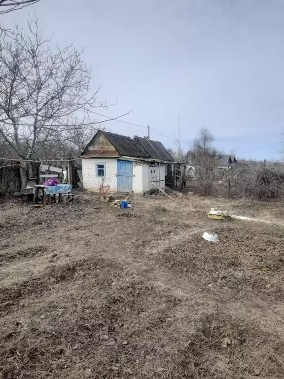 Дом в Волгоградская область, Камышин Строитель-1 СНТ,  (15 м) - Фото 1