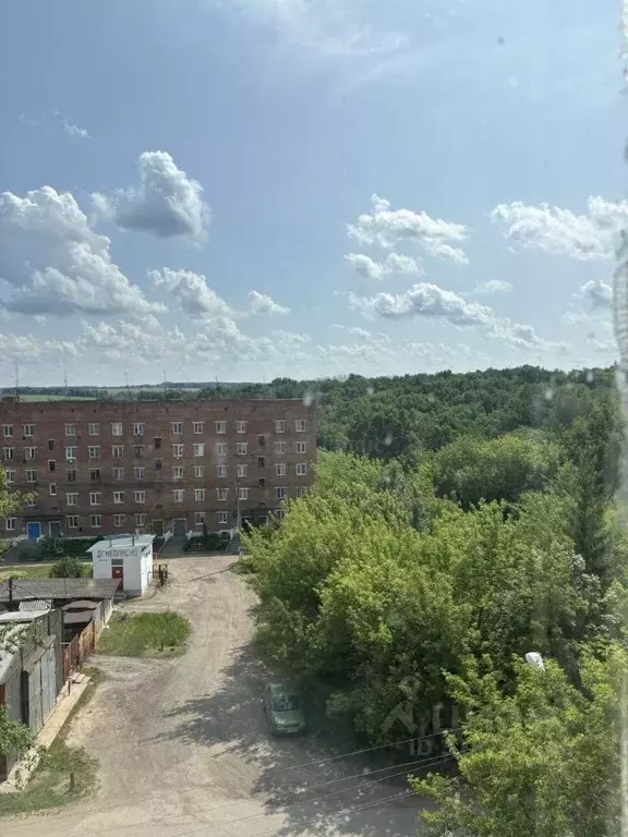 1-к кв. Тульская область, Липки Киреевский район, ул. Лермонтова (26.4 ... - Фото 1