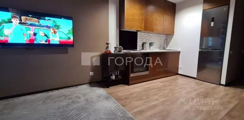 Студия Новосибирская область, Новосибирск ул. Немировича-Данченко, ... - Фото 2