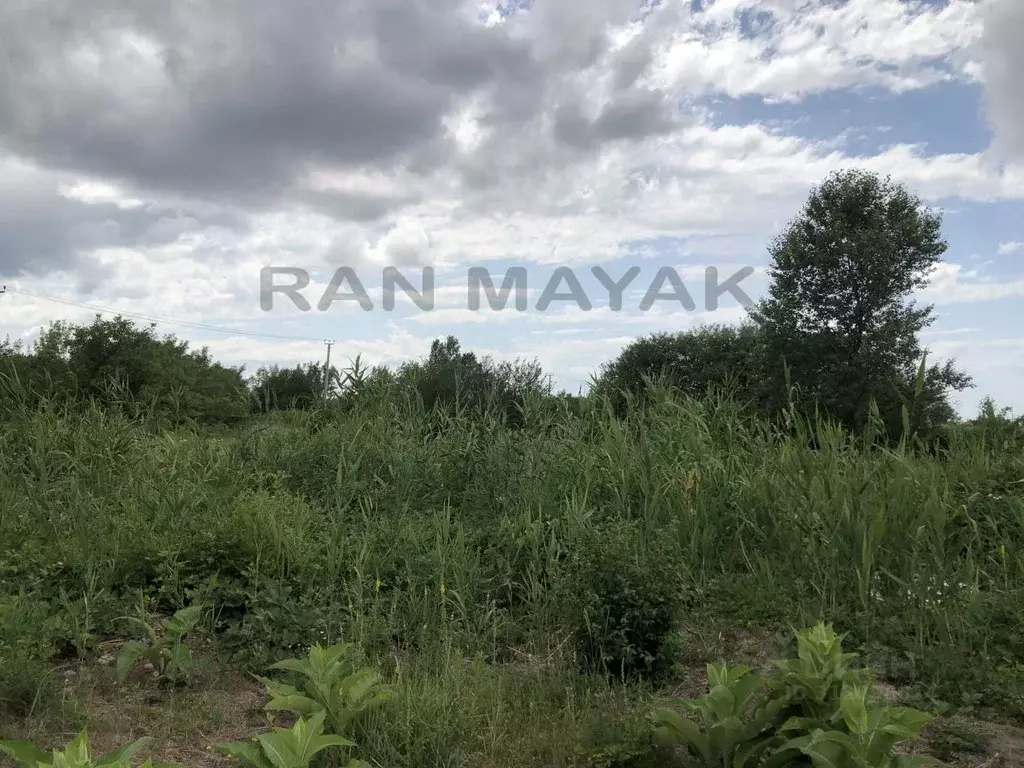 Участок в Адыгея, Майкоп городской округ, пос. Северный ул. Новая ... - Фото 0