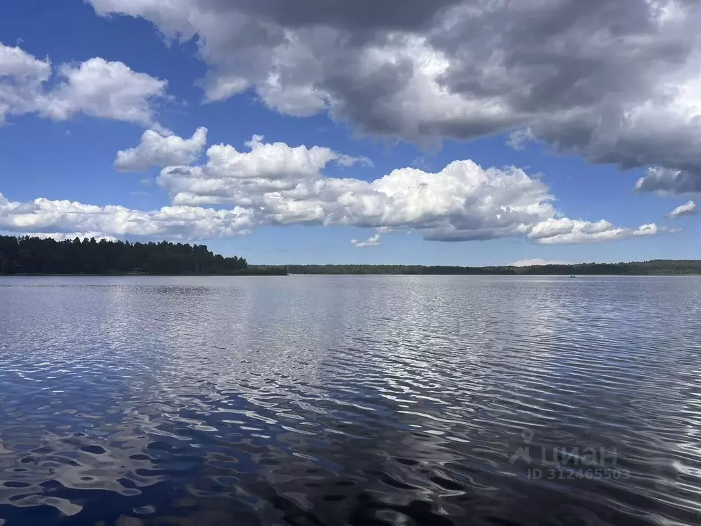 Участок в Ленинградская область, Всеволожский район, Куйвозовское ... - Фото 0