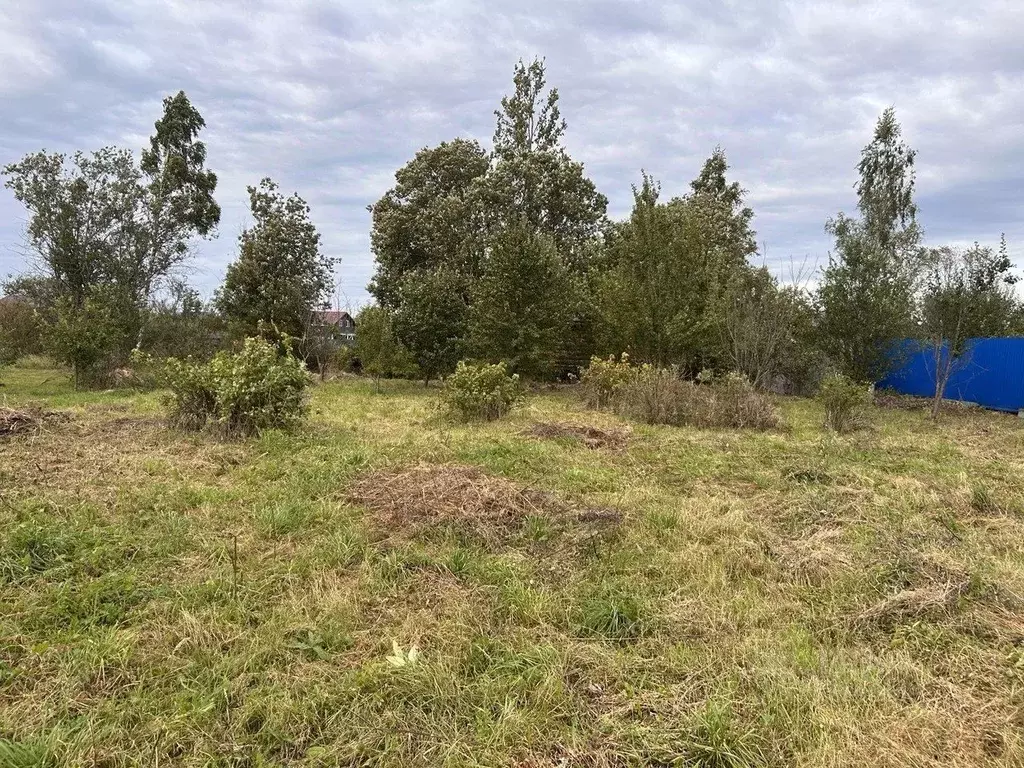 Участок в Новгородская область, Новгородский район, Савинское с/пос, ... - Фото 2