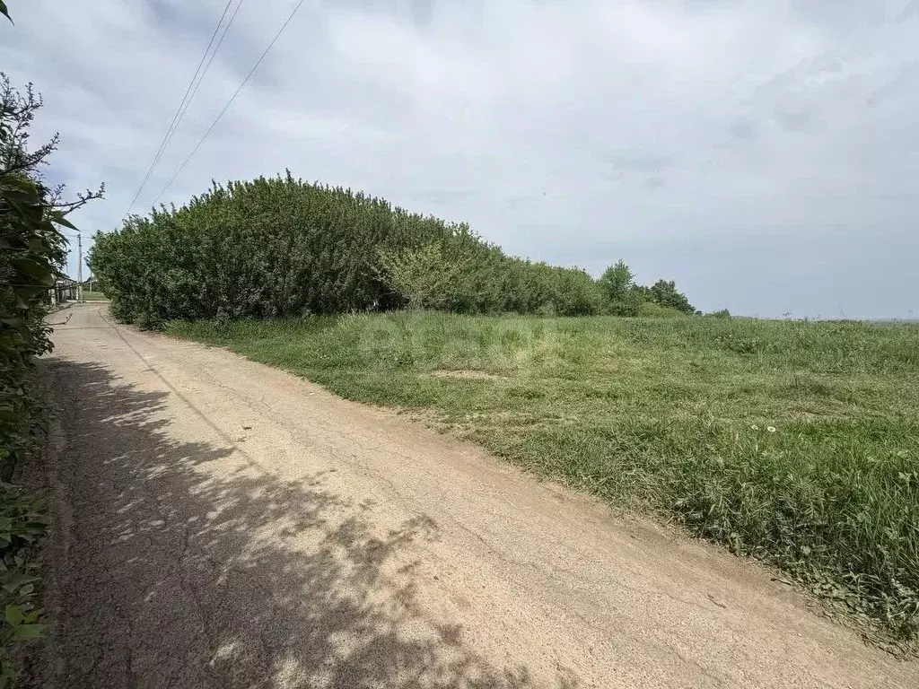 Участок в Белгородская область, Короча городское поселение, с. ... - Фото 0