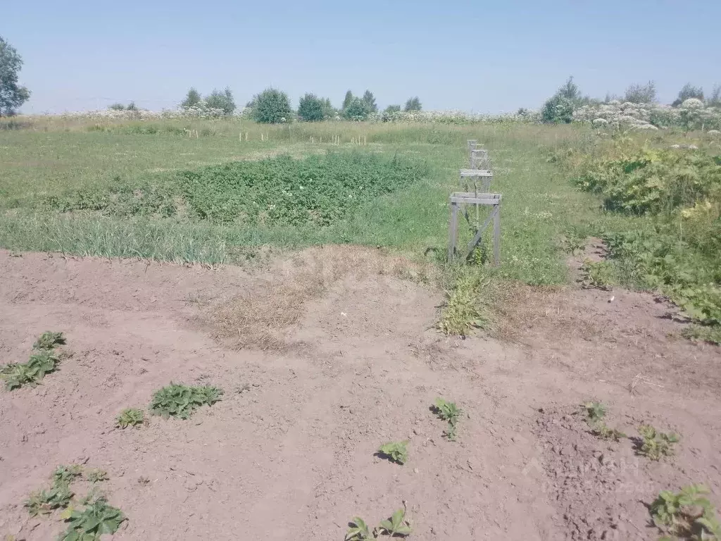 Участок в Псковская область, Псковский район, Завеличенская волость, ... - Фото 1