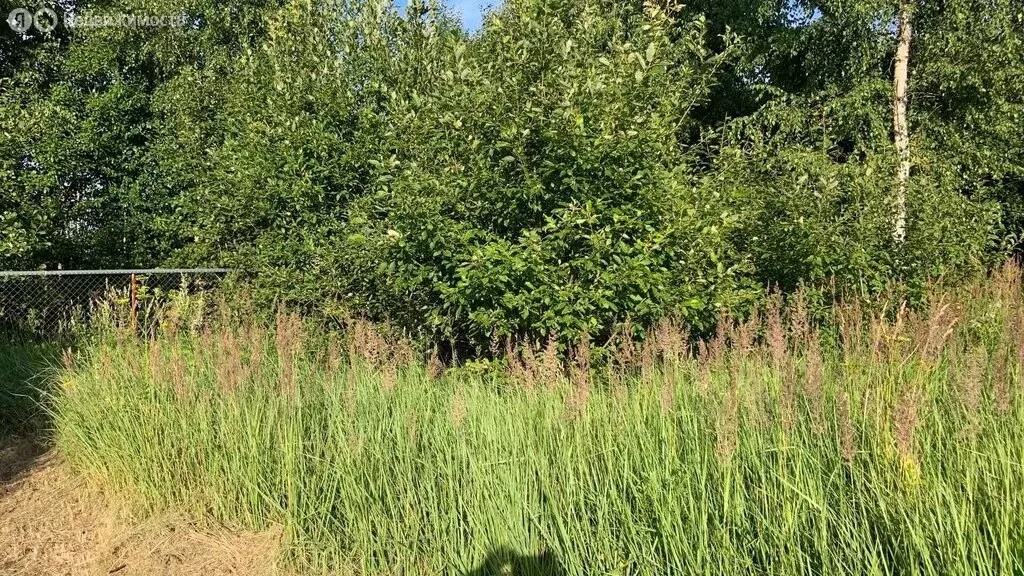 Участок в Раменский городской округ, село Никоновское (10 м) - Фото 0