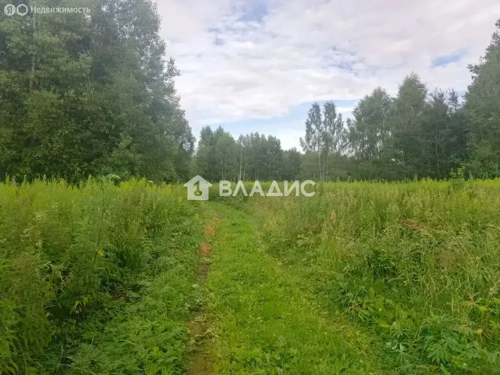 Участок в Владимир, СТ Миловка, 244 (10 м) - Фото 2