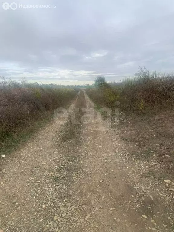 Участок в хутор Гавердовский, Цветочная улица (7.09 м) - Фото 2