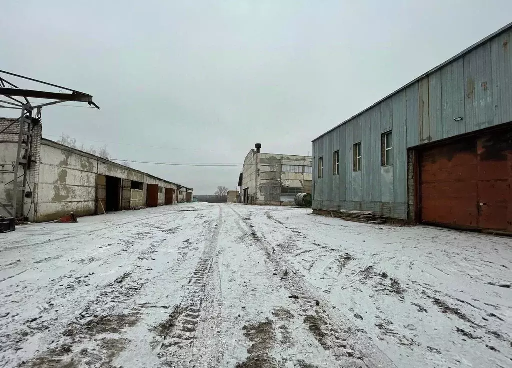 Производственное помещение в Московская область, Богородский городской ... - Фото 1