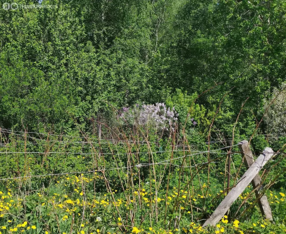 Дом в село Корнилово, СНТ имени Гвоздева, улица Крылова (60 м) - Фото 2