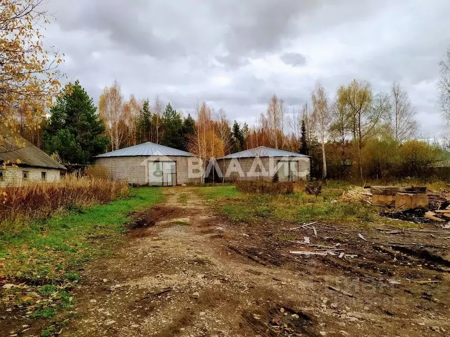 Помещение свободного назначения в Владимирская область, Судогда ул. ... - Фото 0