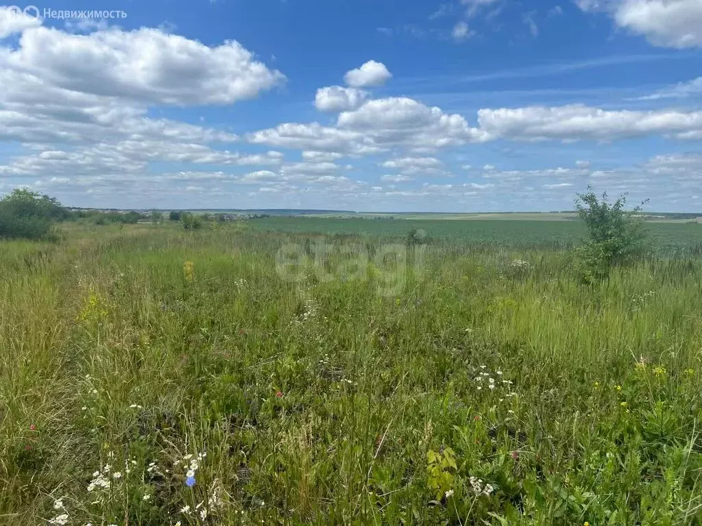 Участок в Лямбирский район, село Берсеневка (9.66 м) - Фото 1