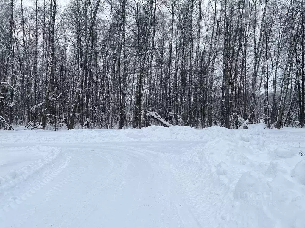 Участок в Московская область, Домодедово КП Данилово Парк тер.,  (7.41 ... - Фото 1