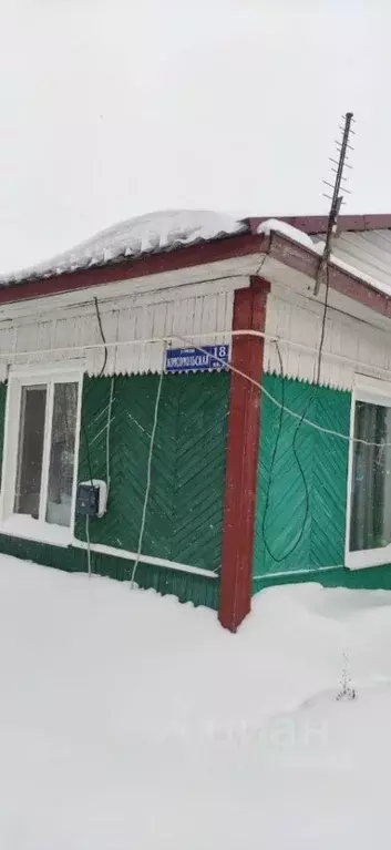 Участок в Омская область, Москаленский район, с. Звездино ... - Фото 1