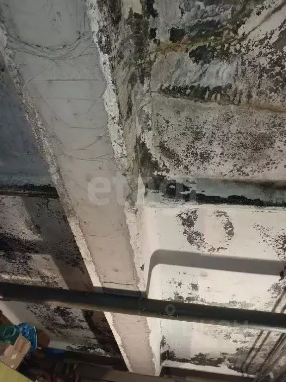 Гараж в Омская область, Омск ул. Авиагородок, 14 (18 м) - Фото 1